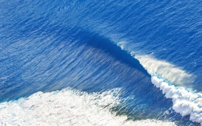 Blue Ocean Strategies for 401k Advisors