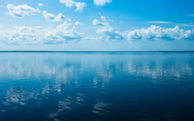Your most valuable asset: Your business